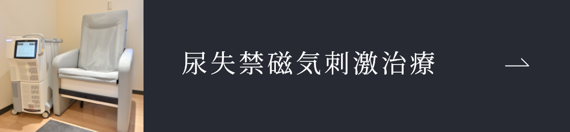 尿失禁磁気刺激治療